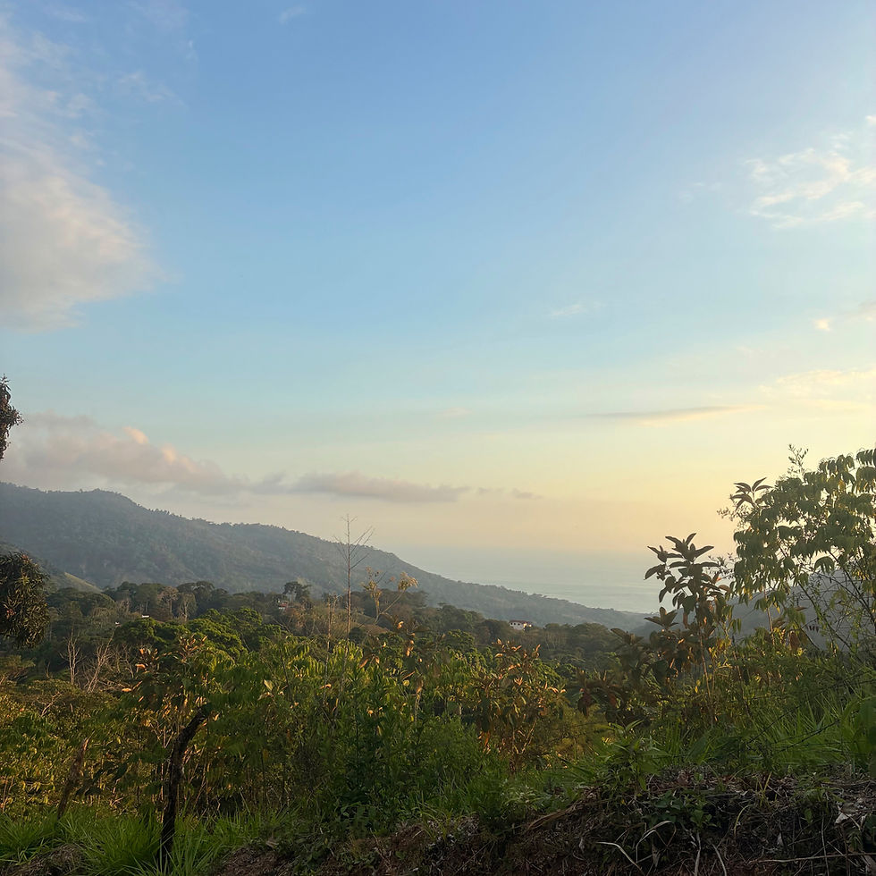 Thumbnail: Mountain Lot with Ocean Views in Uvita | 3 Build Sites