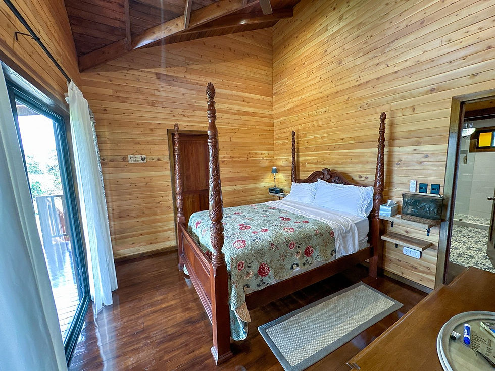 Thumbnail: Mountain View Home in Pérez Zeledón | 3 Bed / 2 Bath