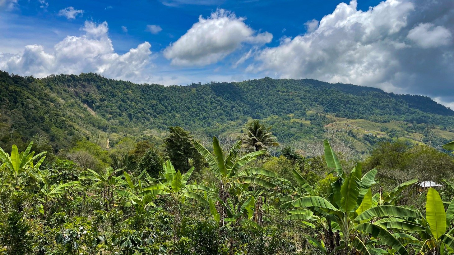 Mountain View Land in San Luis, Above Uvita in Uvita, Costa Rica