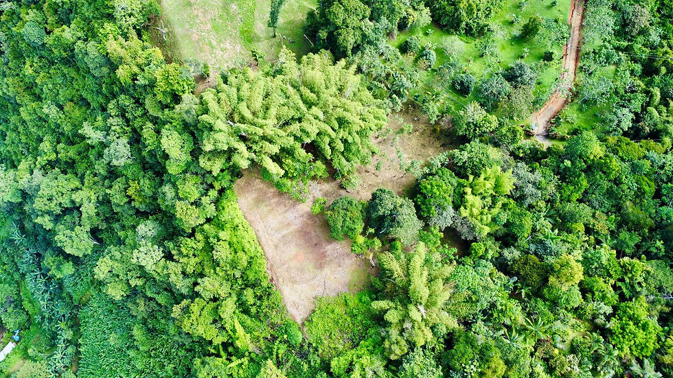 Thumbnail: 1.5 Acre View Lot in Platanillo | Mountains, River & Ocean