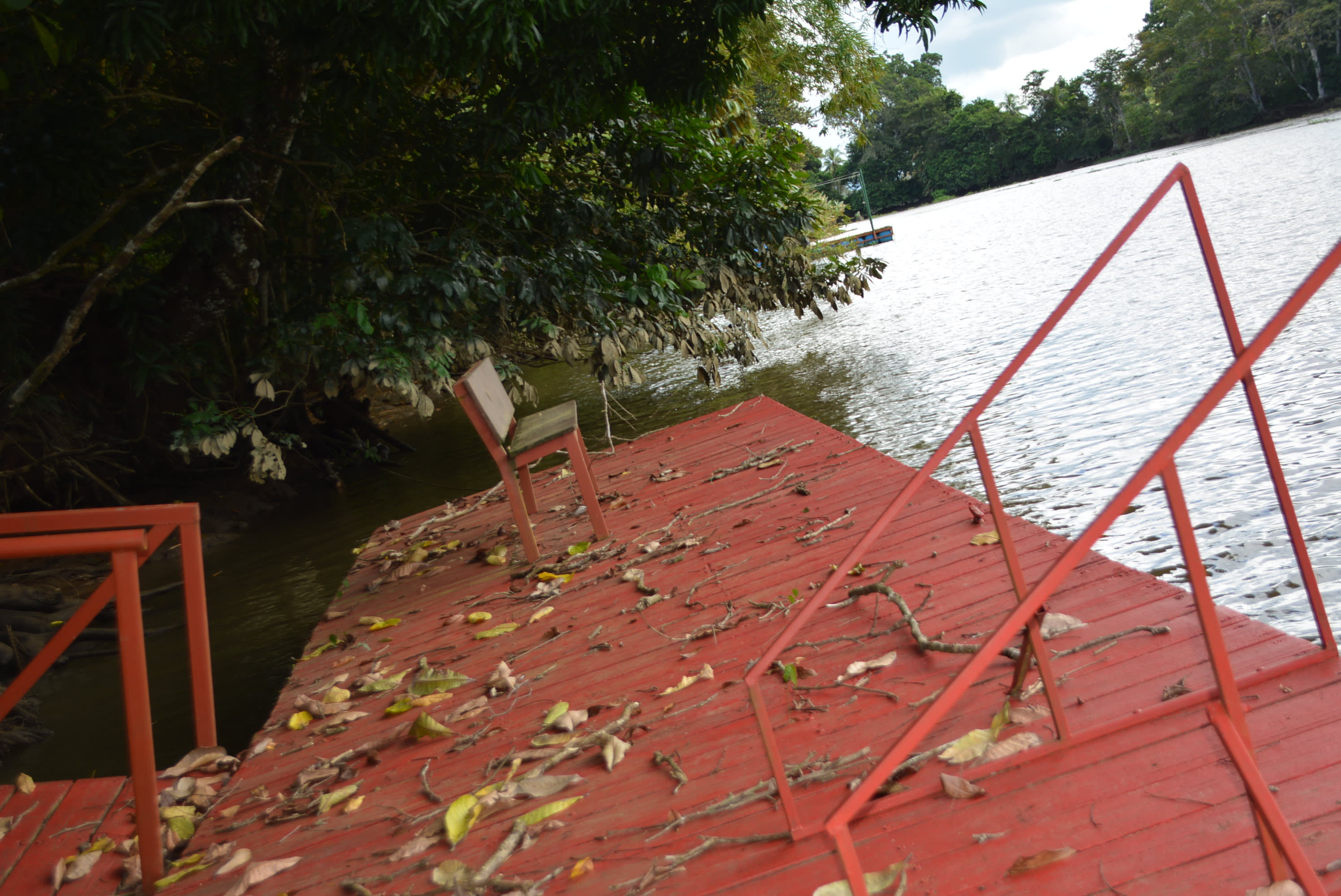 Riverfront Home (Casa De La Mariposa Amarillo) in Sierpe property photo 2