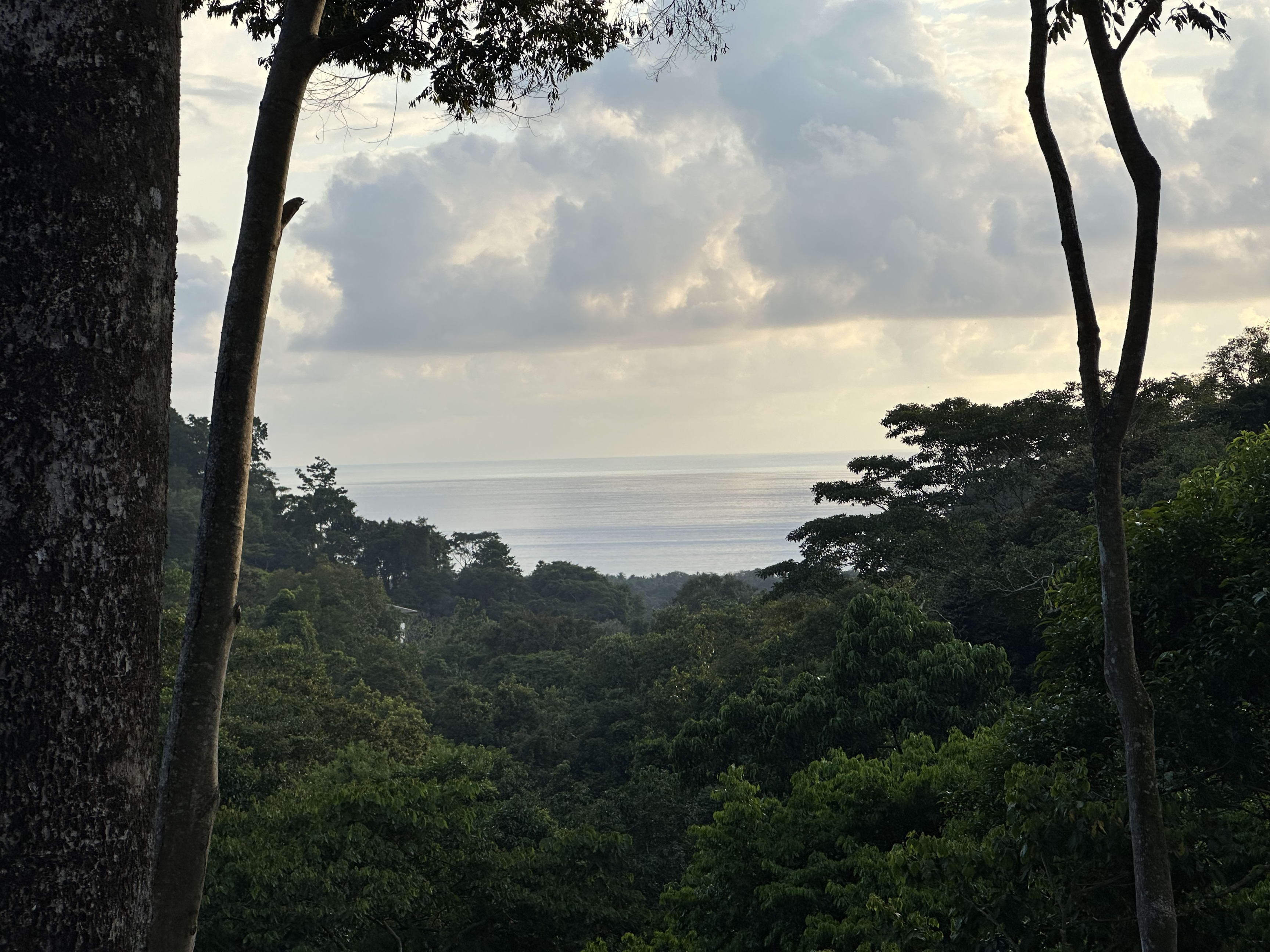 5-Acre Ocean View Lot (Lot 2) in Paradise Breezes, Hatillo in Dominical, Costa Rica