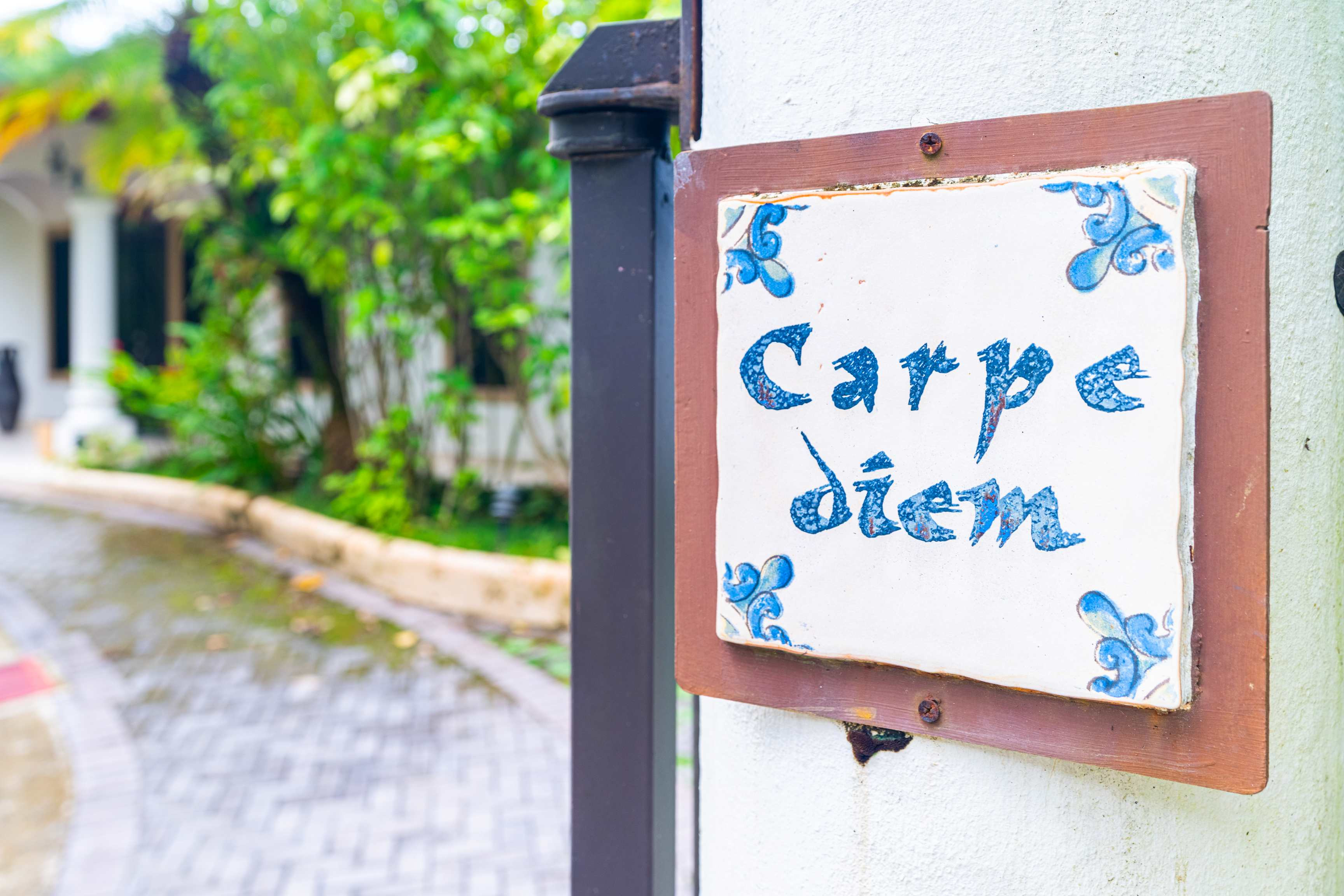 Ocean View Villa (Casa Carpe Diem) in Ojochal property photo 4