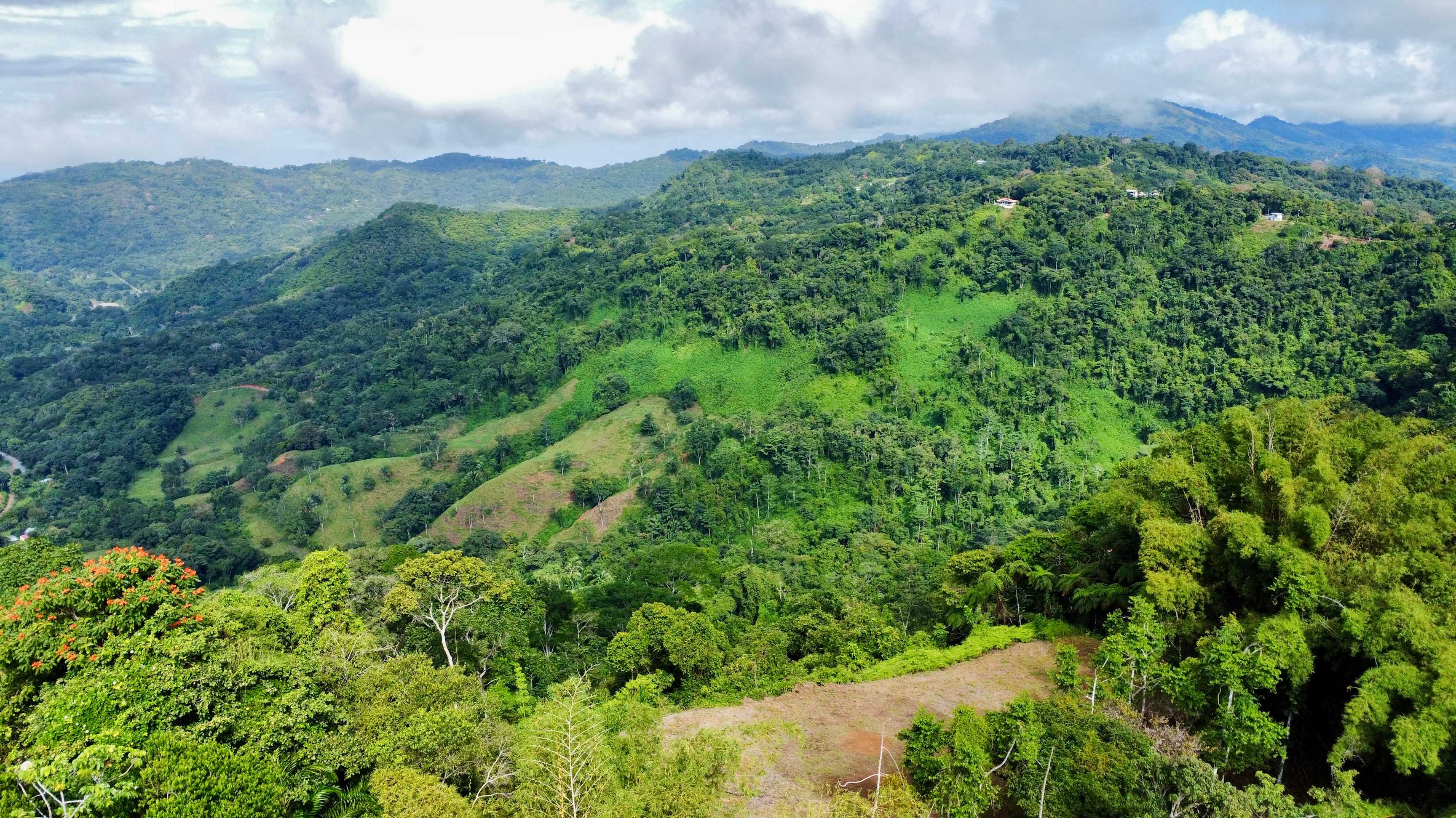 1.5-Acre View Lot in Platanillo property photo 4