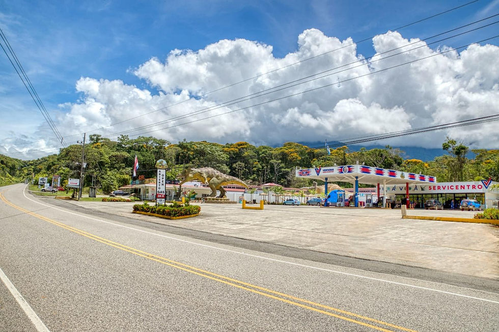 Thumbnail: Turnkey Gas Station & Commercial Lot in Ojochal | Highway Frontage
