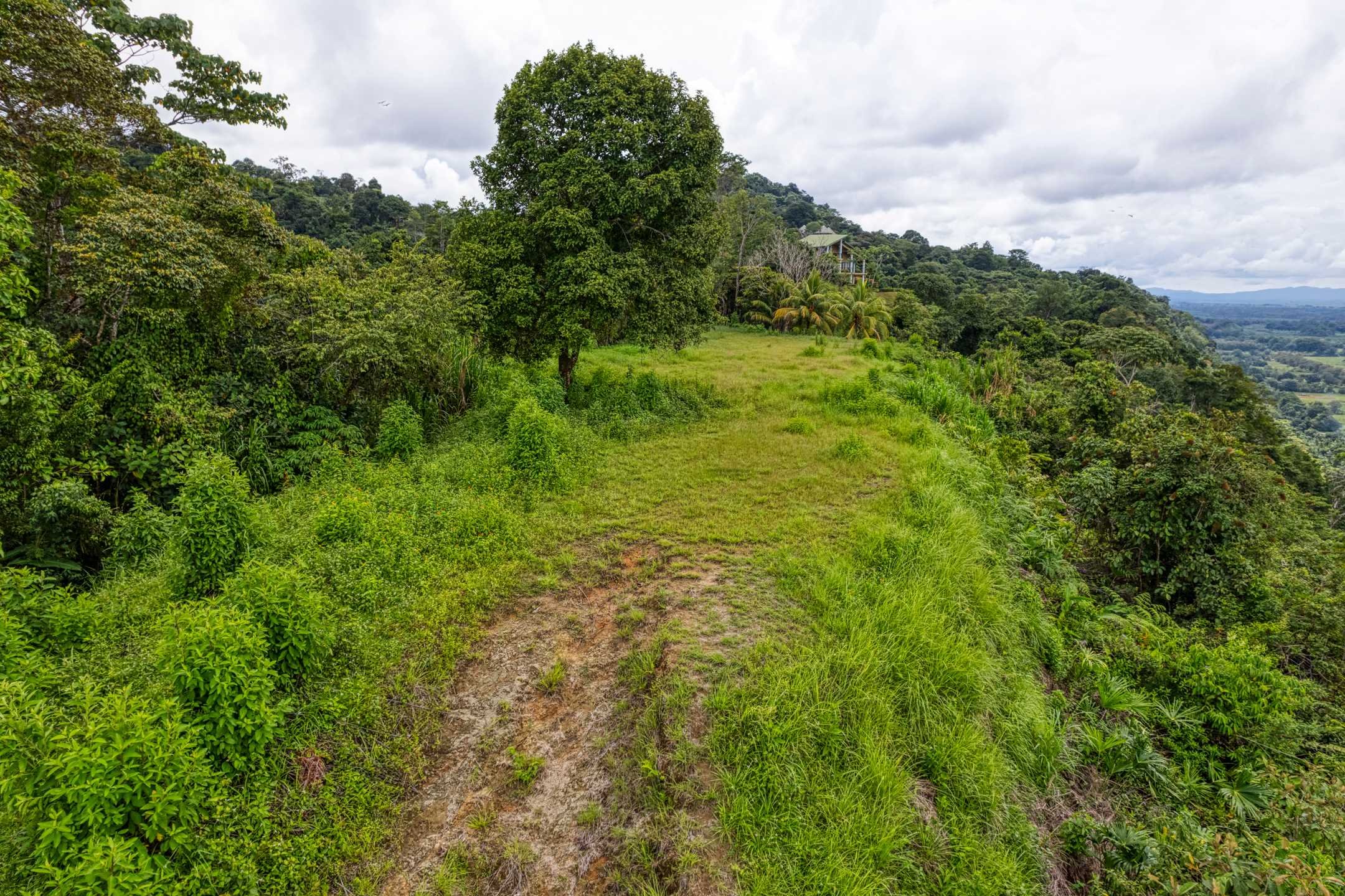 Development Land in Coronado, 4 Lots property photo 5