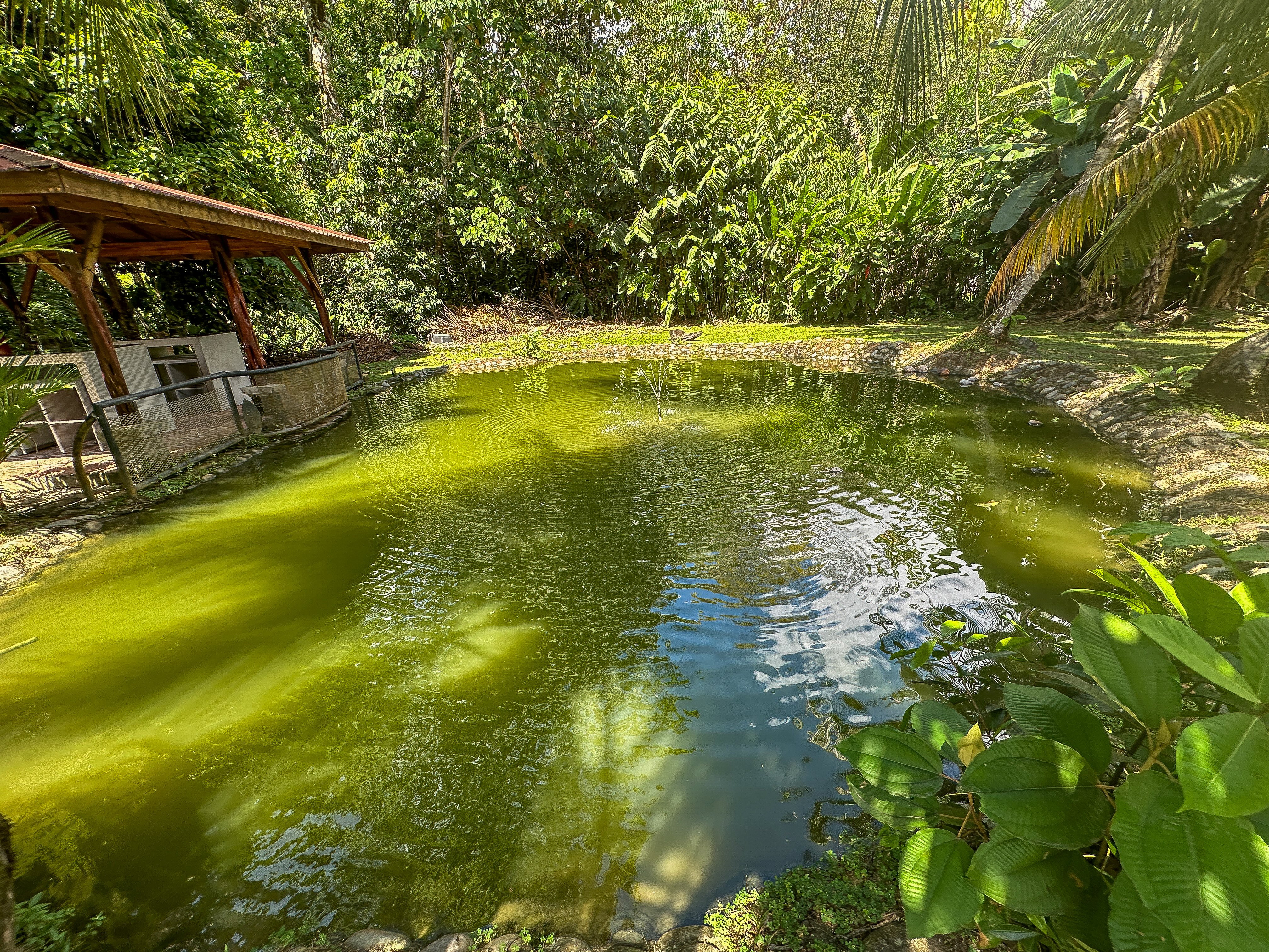 Riverfront Home in the Heart of Ojochal property photo 5