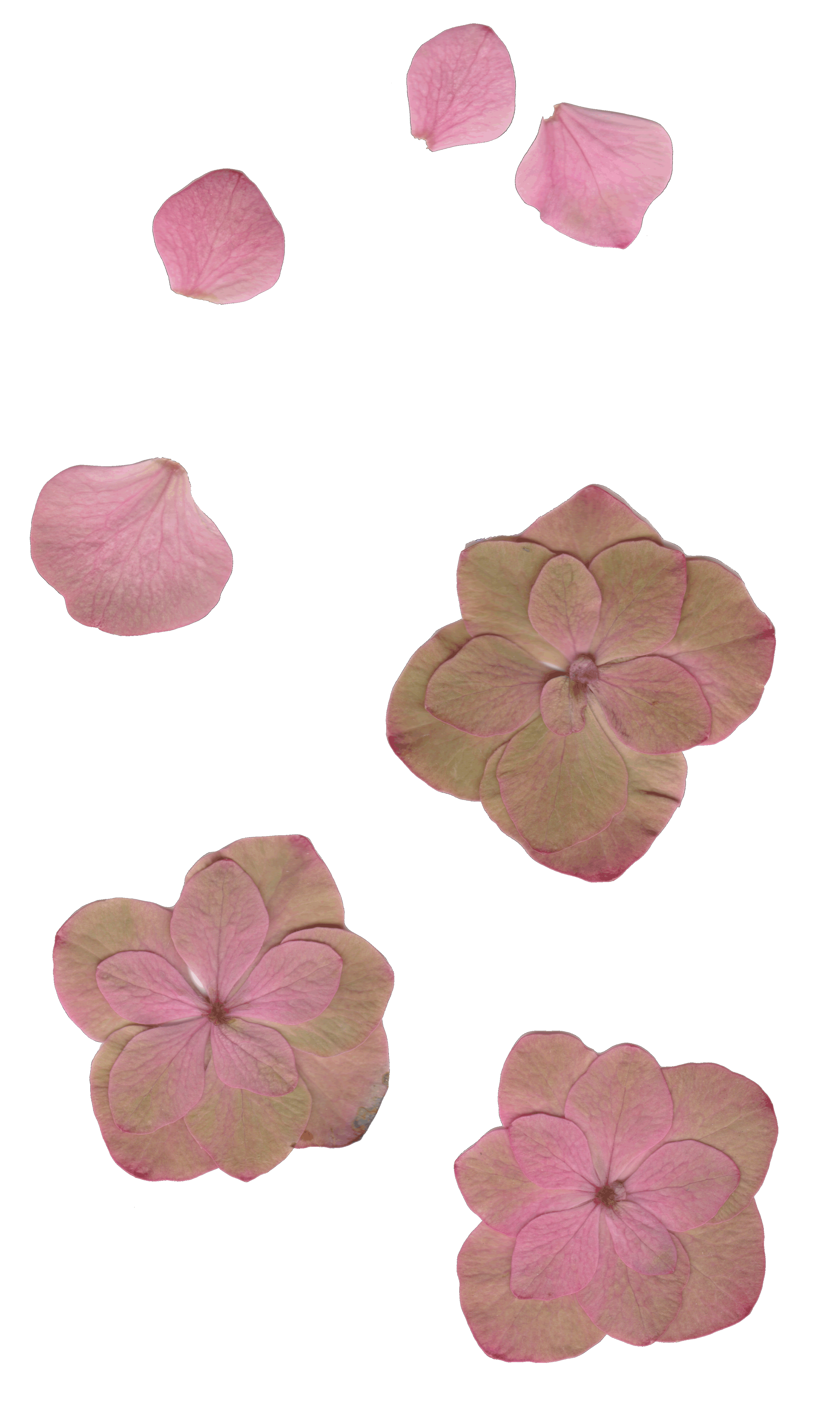 New land loard scan 1 (1).gif