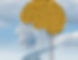Untitled design.jpg