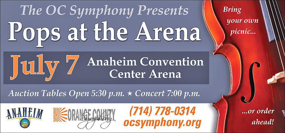 Vinyl Banner