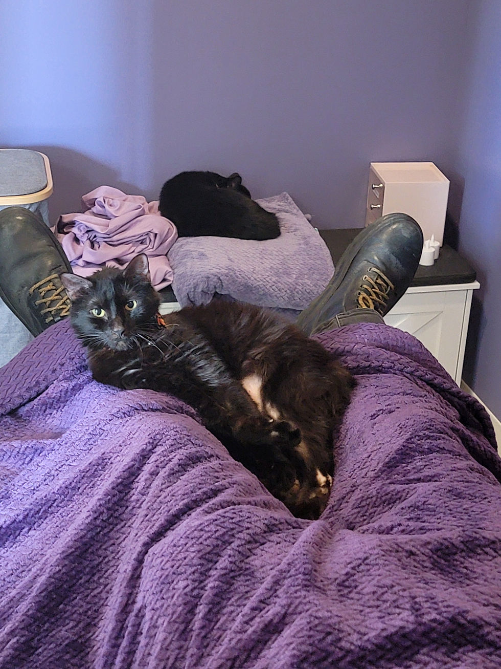 Onyx & Arya
