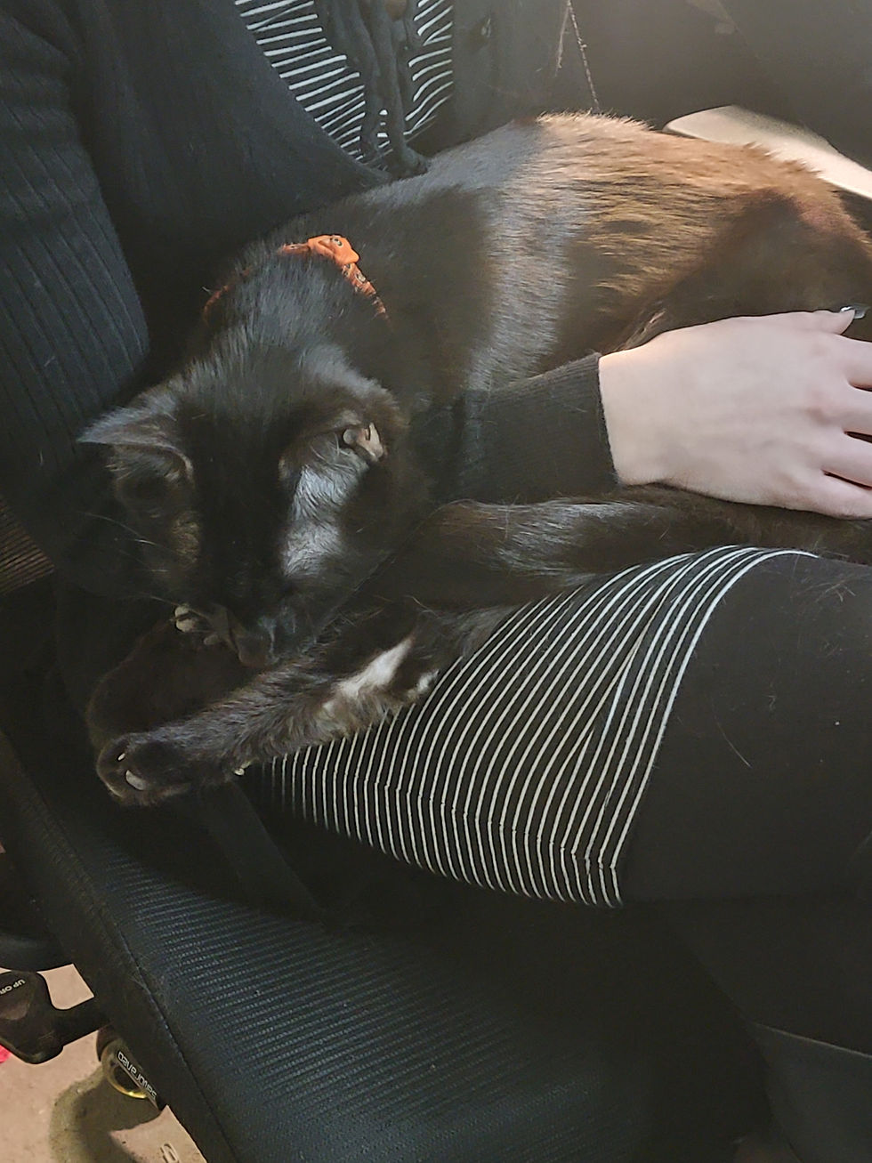 Onyx