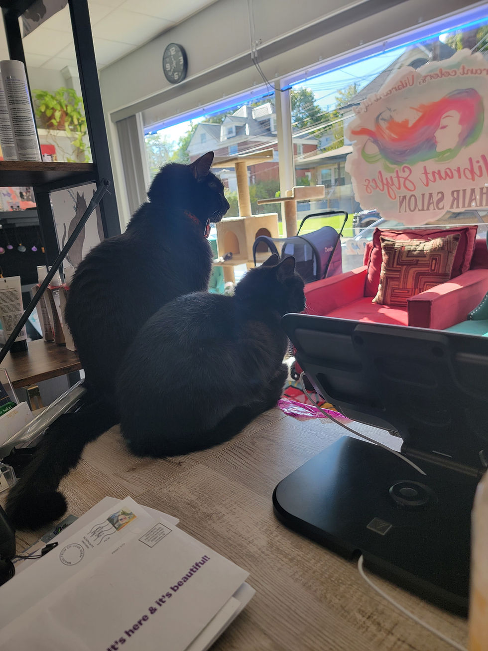 Onyx & Arya