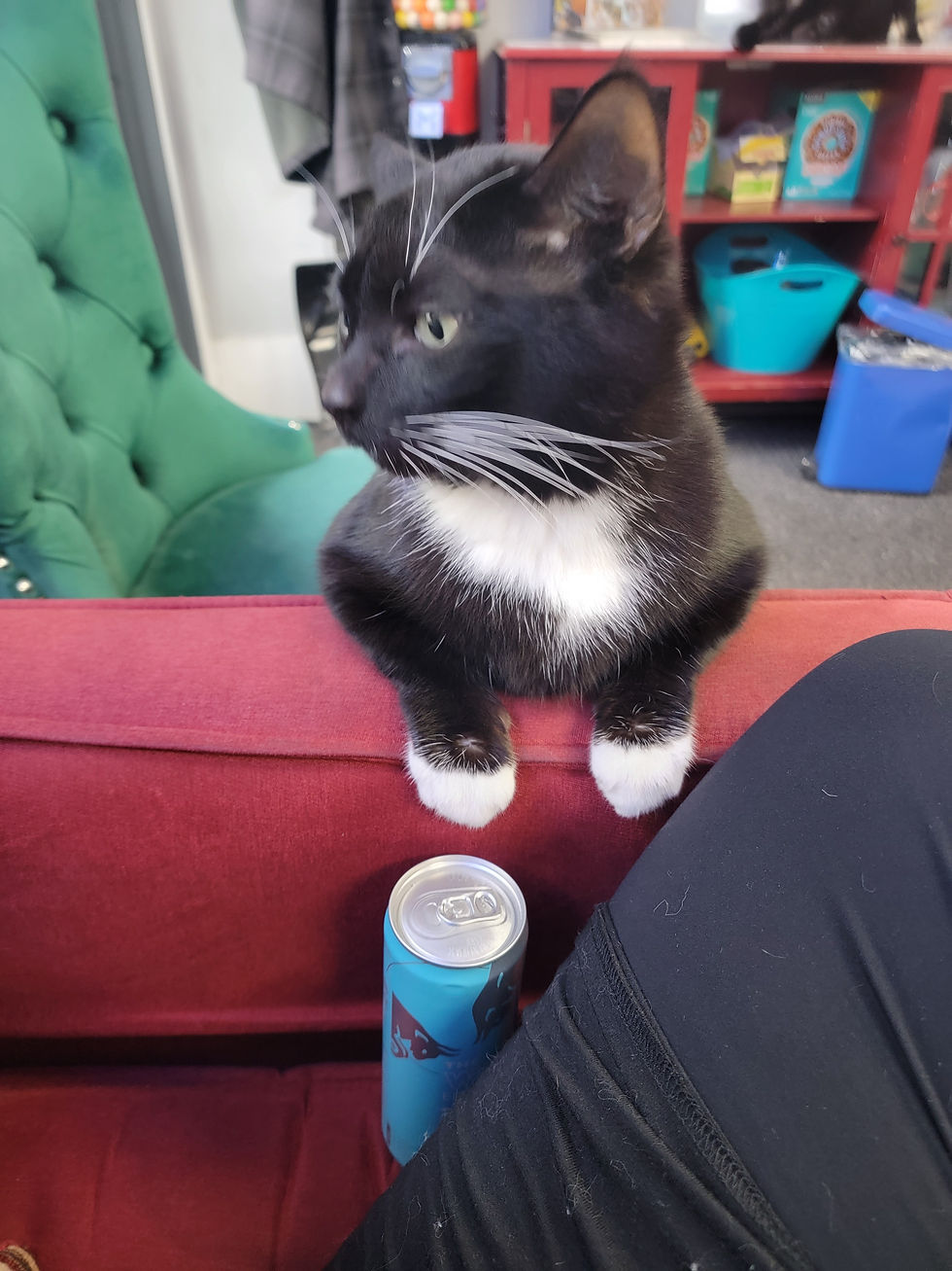 Jinx