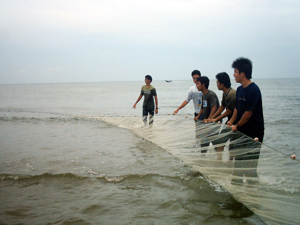 Menarik pukat