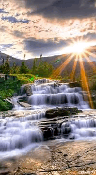 B4142C90-704B-47A3-B30F-F8B9FB9469D0.GIF