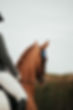 IMG-20240722-WA0037.jpg