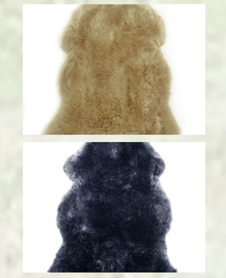 Thumbnail: PELTS / RUGS  SHEEPSKIN - SHORT HAIR - Variety of Colors