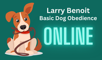 A dog advertising an Online Obedience Course