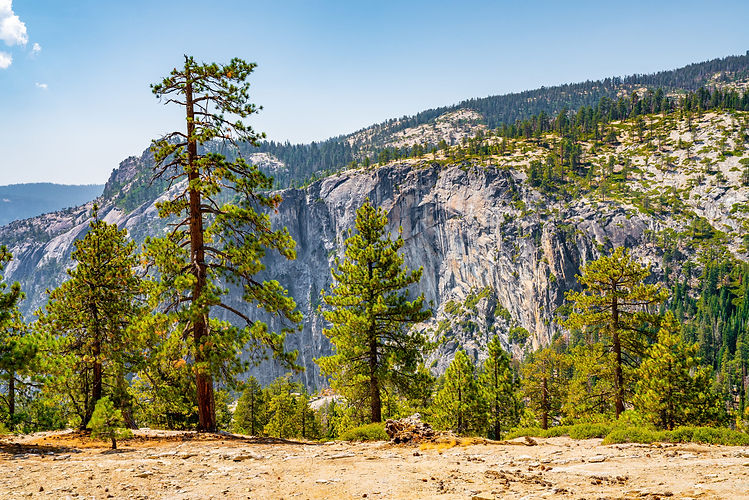 shot-picturesque-nature-yosemite-national-park-scaled.jpg