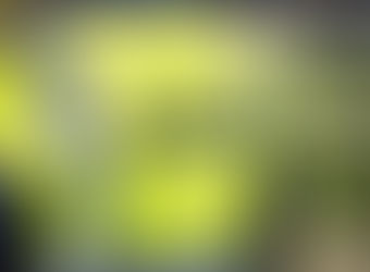 Mayo GAA Stewards Training