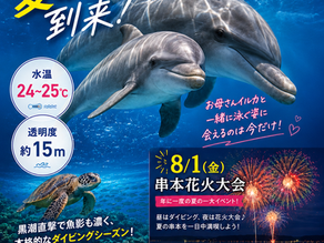【串本ドルフィンダイビング】6月27日より再開!赤ちゃんイルカも少しずつダイバーに慣れてきました