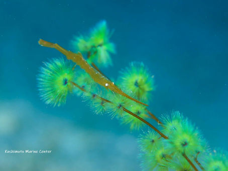 どうか被害がありませように