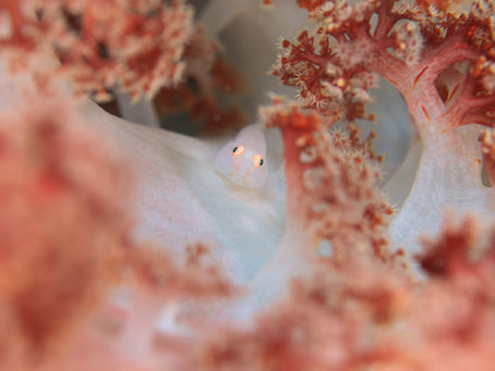 まだまだウェット