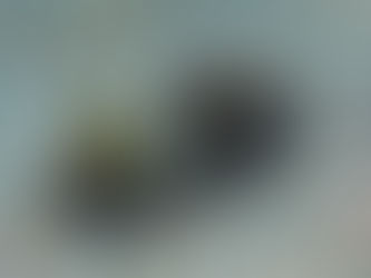 水温・透明度上昇中!