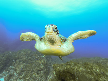 串本・須江・太地