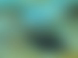 ホタテツノハゼの興奮色