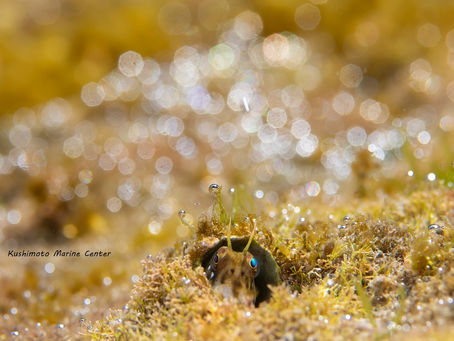 フォトセミナーやります