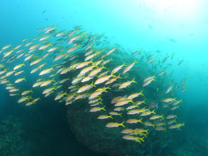 11月最後の週末