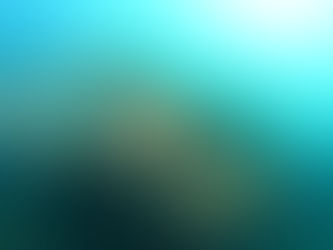 11月最後の週末