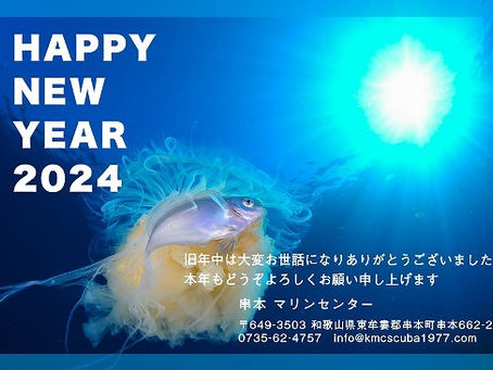 2024年初潜り
