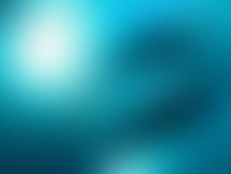 ドルフィンダイブ再開決定!