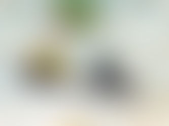 ホタテツノハゼのペア