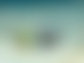 ホタテツノハゼのペア