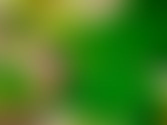 タイドプール再開決定