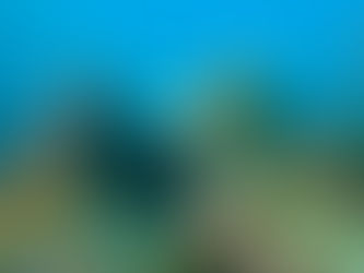 ハードスケジュール