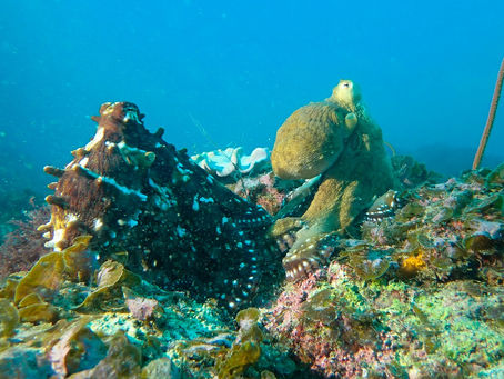 ハードスケジュール