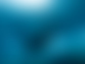 イルカと出会える体験ダイブ