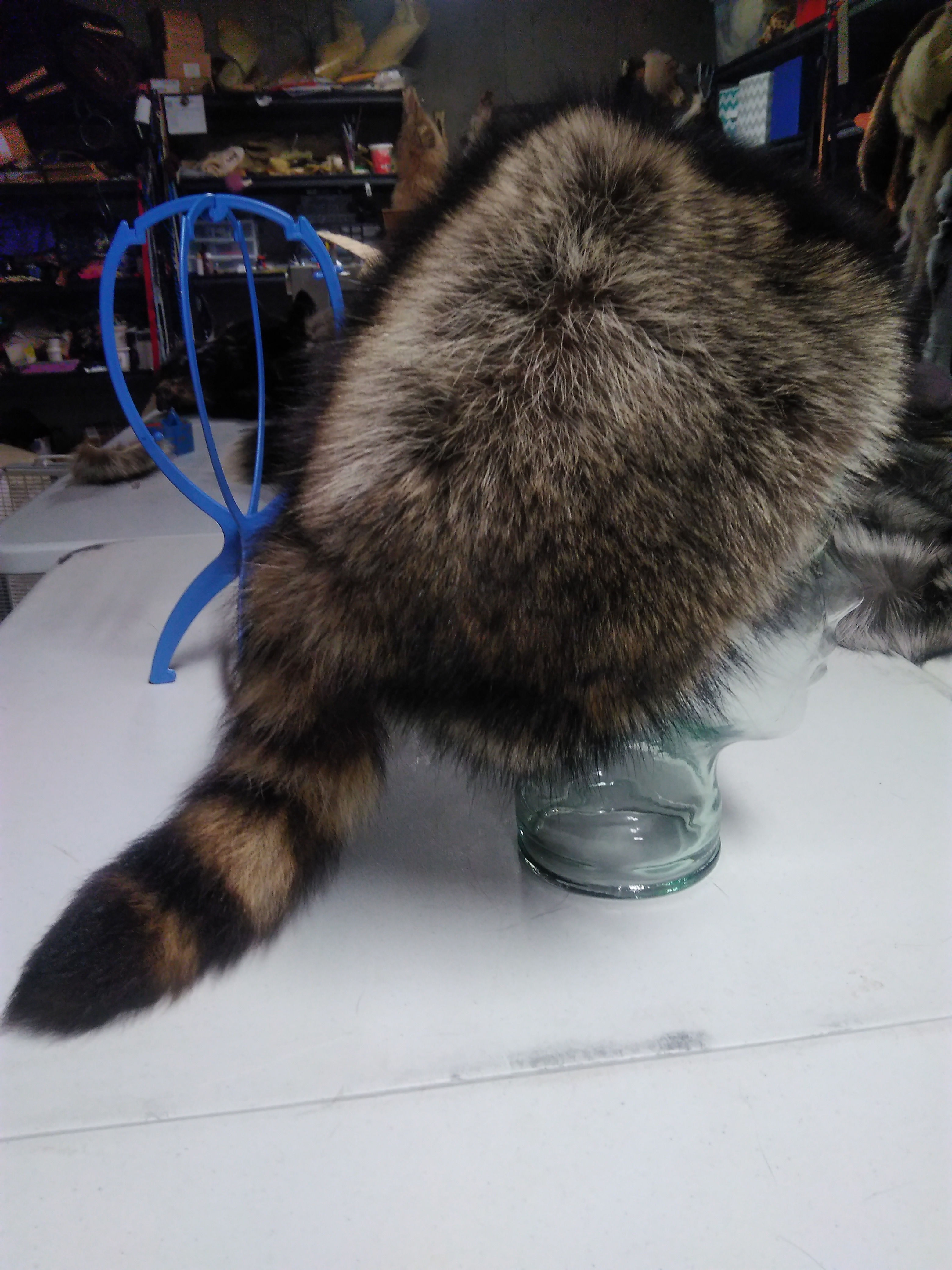 Coonskin Cap