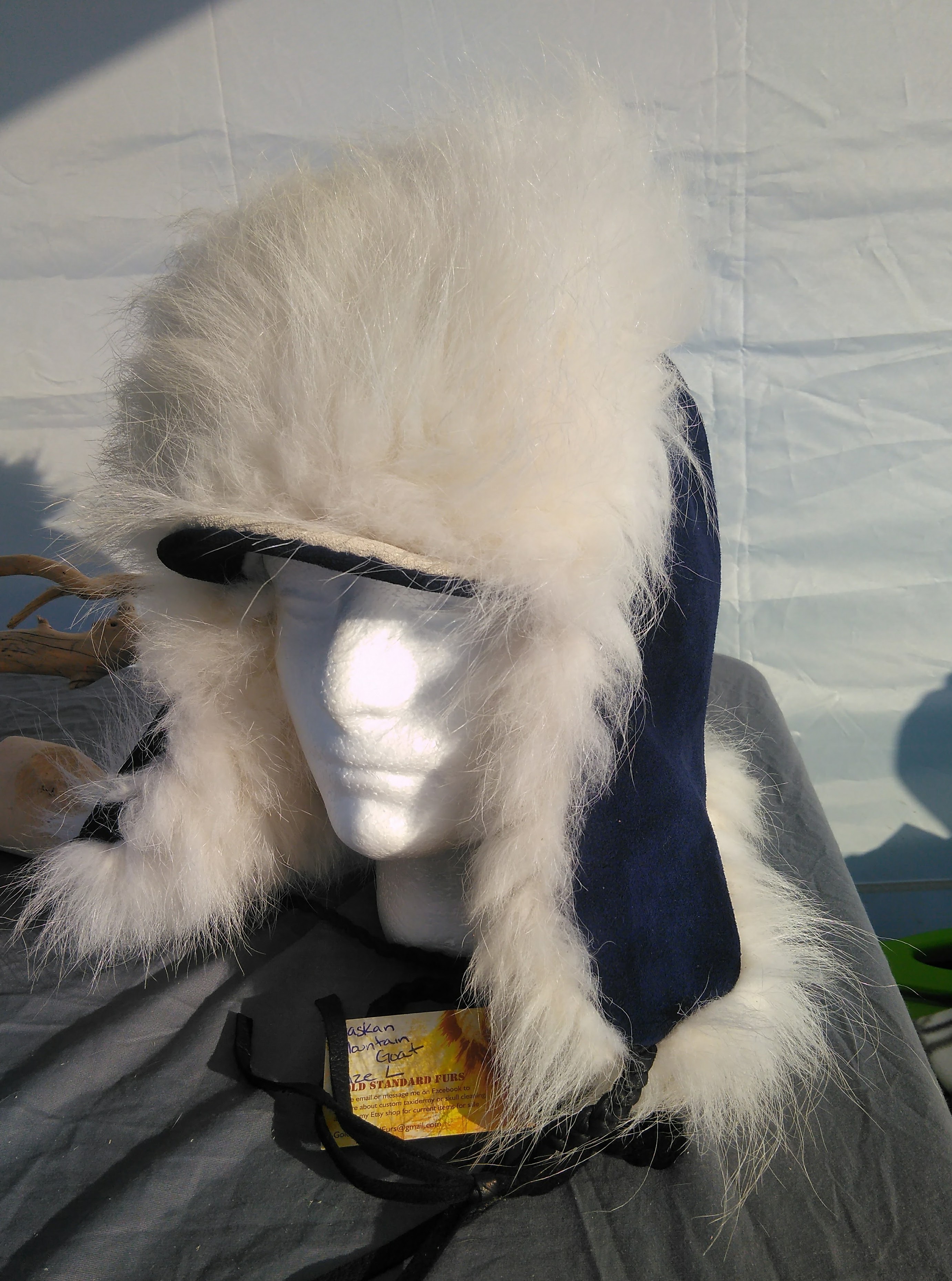 Mtn Goat Trapper