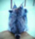 Custom made lynx mountain man hat, back view