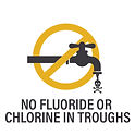 FLOURIDE CH copy.jpg