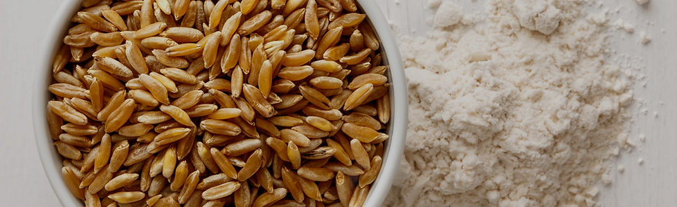 Grain Storage Header_edited.jpg