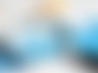 section STATISTIQUES