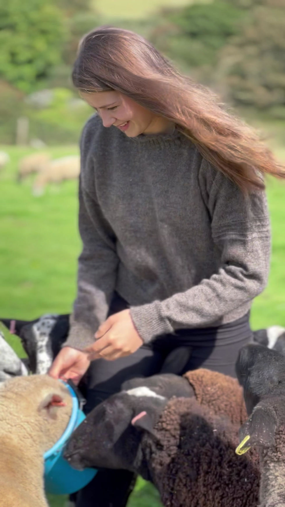 Thumbnail: Gansey Folk