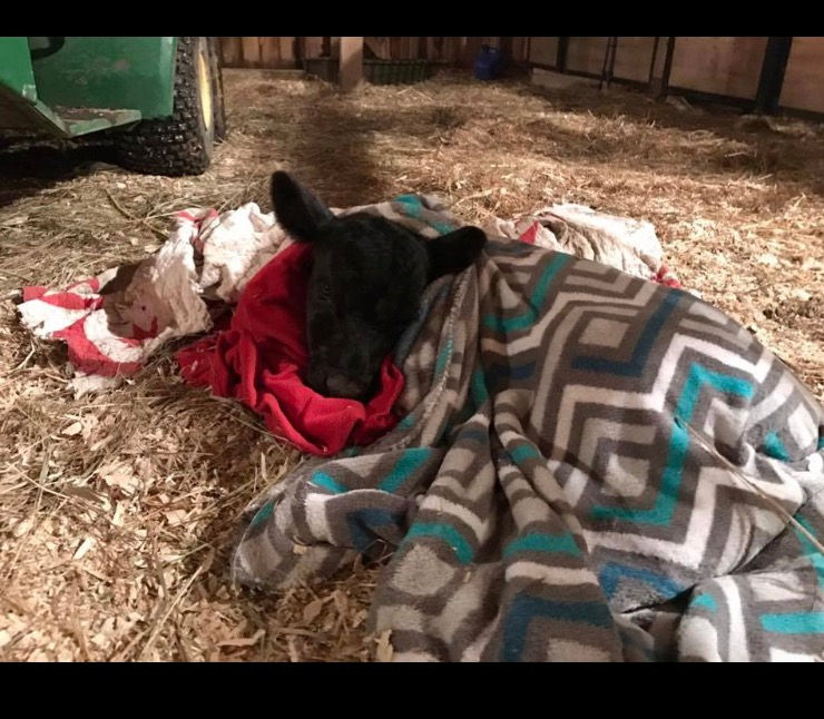 All nice and cozy.